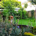 Apartament Elisa