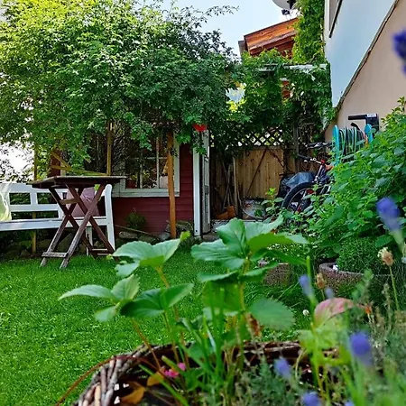 Elisa Apartament *