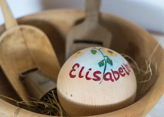 Elisa * إنسبروك